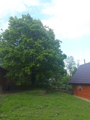 Фото номера Шале с двумя спальнями Дома для отпуска Domek Pod Dębem г. Ryczów 8